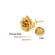 24K gold rose with elegant box